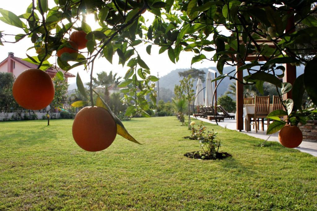 Gocek Arion Hotel Exterior foto